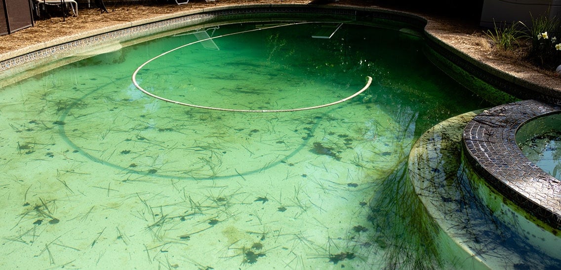 Грязный бассейн, кишащий черными водорослями