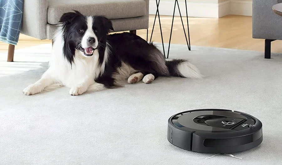 iRobot Roomba i7 убирает ковер с лежащей на нем собакой